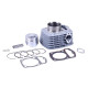 Поршневая (ЦПГ) 63 мм TTG на Shineray XY200, Loncin LX200, Zongshen ZS200, Geon TerraX 200