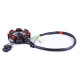Якір генератора на Shineray XY250, Loncin LX250, Zongshen ZS250, Geon TerraX 250