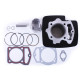 Поршнева (ЦПГ) 69 мм на Shineray XY250, Loncin LX250, Zongshen ZS250, Geon TerraX 250